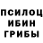 Галлюциногенные грибы MAGIC MUSHROOMS RKT