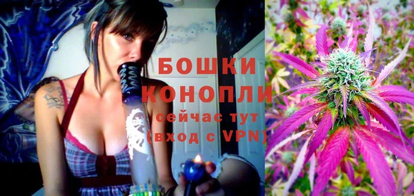 спайс Баксан